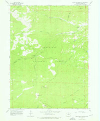 Download a high-resolution, GPS-compatible USGS topo map for South Bald Mountain, CO (1976 edition)