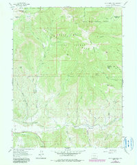 Download a high-resolution, GPS-compatible USGS topo map for South Mamm Peak, CO (1984 edition)