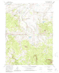 Download a high-resolution, GPS-compatible USGS topo map for Spicer Peak, CO (1985 edition)