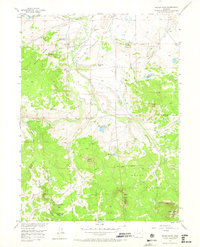 Download a high-resolution, GPS-compatible USGS topo map for Spicer Peak, CO (1973 edition)