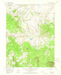 Download a high-resolution, GPS-compatible USGS topo map for Spicer Peak, CO (1965 edition)