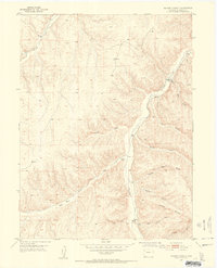 Download a high-resolution, GPS-compatible USGS topo map for Square S Ranch, CO (1954 edition)