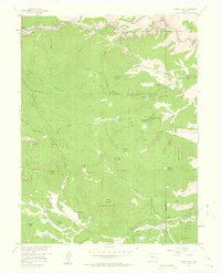 Download a high-resolution, GPS-compatible USGS topo map for Squaw Pass, CO (1963 edition)