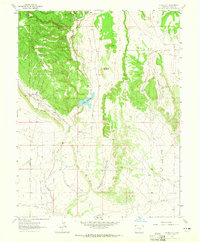 Download a high-resolution, GPS-compatible USGS topo map for Stone City, CO (1965 edition)