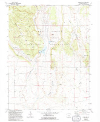 Download a high-resolution, GPS-compatible USGS topo map for Stone City, CO (1994 edition)