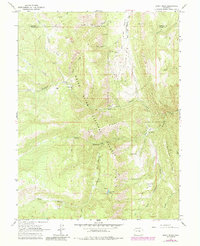 Download a high-resolution, GPS-compatible USGS topo map for Stony Ridge, CO (1984 edition)