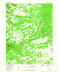 Download a high-resolution, GPS-compatible USGS topo map for Storm Mountain, CO (1963 edition)