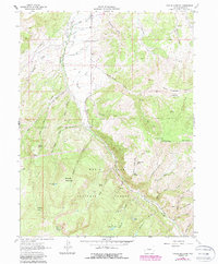 Download a high-resolution, GPS-compatible USGS topo map for Suicide Mountain, CO (1988 edition)