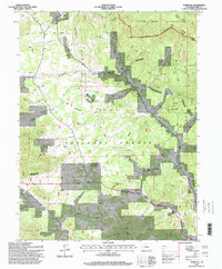Download a high-resolution, GPS-compatible USGS topo map for Tarryall, CO (1998 edition)