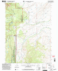 Download a high-resolution, GPS-compatible USGS topo map for Teal Lake, CO (2004 edition)