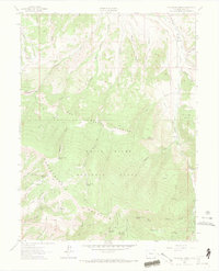 Download a high-resolution, GPS-compatible USGS topo map for The Seven Hermits, CO (1969 edition)