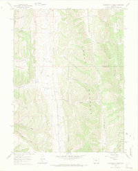 Download a high-resolution, GPS-compatible USGS topo map for Thirteenmile Creek, CO (1969 edition)