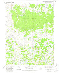 Download a high-resolution, GPS-compatible USGS topo map for Thirtynine Mile Mountain, CO (1983 edition)