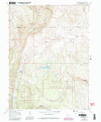 Download a high-resolution, GPS-compatible USGS topo map for Thornburgh, CO (1988 edition)