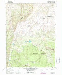 Download a high-resolution, GPS-compatible USGS topo map for Thornburgh, CO (1988 edition)