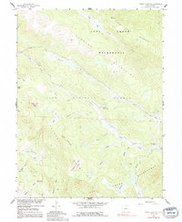 Download a high-resolution, GPS-compatible USGS topo map for Topaz Mountain, CO (1991 edition)