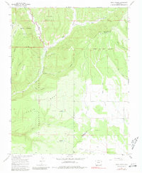 Download a high-resolution, GPS-compatible USGS topo map for Trail Canyon, CO (1980 edition)