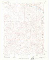 preview thumbnail of historical topo map of Mesa County, CO in 1969