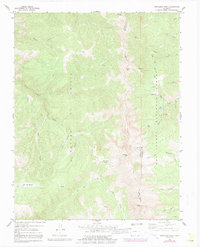 Download a high-resolution, GPS-compatible USGS topo map for Trinchera Peak, CO (1991 edition)