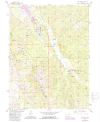 Download a high-resolution, GPS-compatible USGS topo map for Ute Peak, CO (1988 edition)
