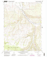Download a high-resolution, GPS-compatible USGS topo map for Veatch Gulch, CO (1988 edition)