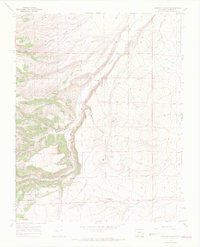 Download a high-resolution, GPS-compatible USGS topo map for Vicente Canyon, CO (1971 edition)