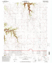 Download a high-resolution, GPS-compatible USGS topo map for Villegreen, CO (2000 edition)
