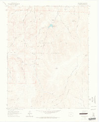 Download a high-resolution, GPS-compatible USGS topo map for West Baldy, CO (1964 edition)