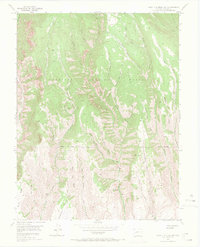 Download a high-resolution, GPS-compatible USGS topo map for West Elk Peak SW, CO (1971 edition)