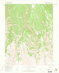 Download a high-resolution, GPS-compatible USGS topo map for West Elk Peak SW, CO (1963 edition)