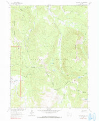 Download a high-resolution, GPS-compatible USGS topo map for West Fork Lake, CO (1990 edition)