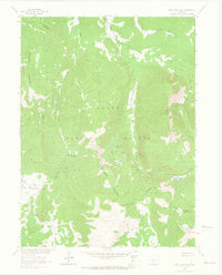 Download a high-resolution, GPS-compatible USGS topo map for West Fork Lake, CO (1964 edition)