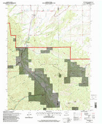 Download a high-resolution, GPS-compatible USGS topo map for Wetmore, CO (1998 edition)