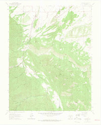 Download a high-resolution, GPS-compatible USGS topo map for Wetmore, CO (1965 edition)