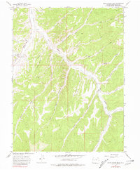 Download a high-resolution, GPS-compatible USGS topo map for White Coyote Draw, CO (1981 edition)