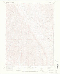 Download a high-resolution, GPS-compatible USGS topo map for White Rock, CO (1969 edition)