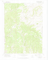 Download a high-resolution, GPS-compatible USGS topo map for Wolf Mountain, CO (1974 edition)