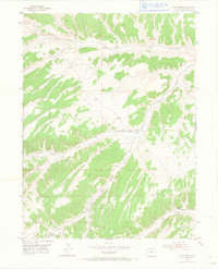 Download a high-resolution, GPS-compatible USGS topo map for Wolf Ridge, CO (1966 edition)