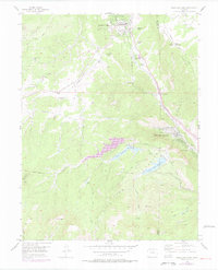 Download a high-resolution, GPS-compatible USGS topo map for Woodland Park, CO (1977 edition)