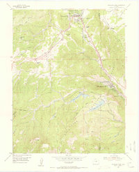 Download a high-resolution, GPS-compatible USGS topo map for Woodland Park, CO (1955 edition)
