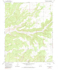 Download a high-resolution, GPS-compatible USGS topo map for Woods Canyon, CO (1984 edition)