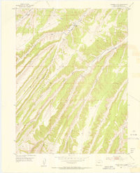 Download a high-resolution, GPS-compatible USGS topo map for Yankee Gulch, CO (1954 edition)