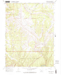 Download a high-resolution, GPS-compatible USGS topo map for Zenobia Peak, CO (1979 edition)