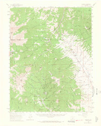 Download a high-resolution, GPS-compatible USGS topo map for Bonanza, CO (1965 edition)