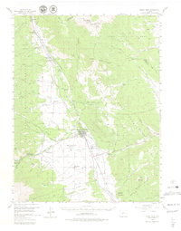Download a high-resolution, GPS-compatible USGS topo map for Buena Vista, CO (1979 edition)