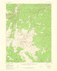 Download a high-resolution, GPS-compatible USGS topo map for Georgetown, CO (1960 edition)