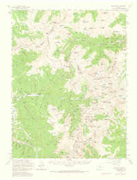 preview thumbnail of historical topo map of Montezuma, CO in 1958