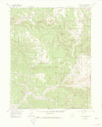 Download a high-resolution, GPS-compatible USGS topo map for Pagosa Junction, CO (1975 edition)