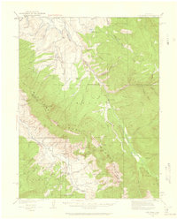 Download a high-resolution, GPS-compatible USGS topo map for Ute Peak, CO (1959 edition)