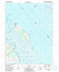 Download a high-resolution, GPS-compatible USGS topo map for Bombay Hook Island, DE (1993 edition)